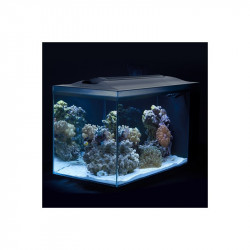 ACUARIO MARINO FLUVAL EVO 52 litros ( ENVIO GRATIS )
