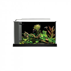 Nano Acuario Fluval Spec  19 LITROS