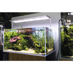 ULTRASCAPE DIAMOND EDITION - 90 FOREST SNOW SET