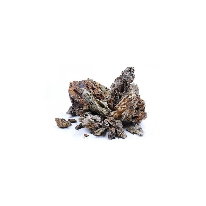 Roca Dragon para acuarios