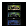 Acuario 125 litros cristal optico + iluminacion ( Envio Gratis )