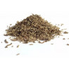 LARVA ROJA 130ML AZOO