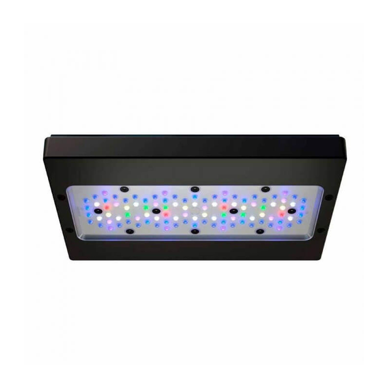 Radion XR30G6 BLUE LED Light Radion XR30G6 BLUE LED Light