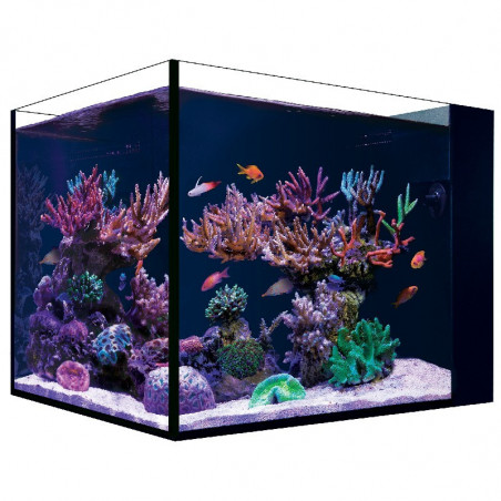 Nano Desktop Península Red Sea (No Incluye Luz, Mesa ni Skimmer)