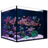 Nano Desktop Península Red Sea (No Incluye Luz, Mesa ni Skimmer)