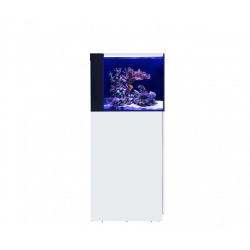 Nano Desktop Península Red Sea + mesa ( Envio Gratis )