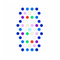 Radion XR15 G6 BLUE ( ENVIO GRATIS )