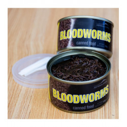 BLOODWORMS (Culicidae Larva) 500 gramos