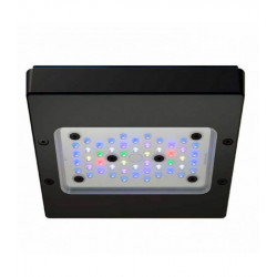 Radion XR15G6 LED Light