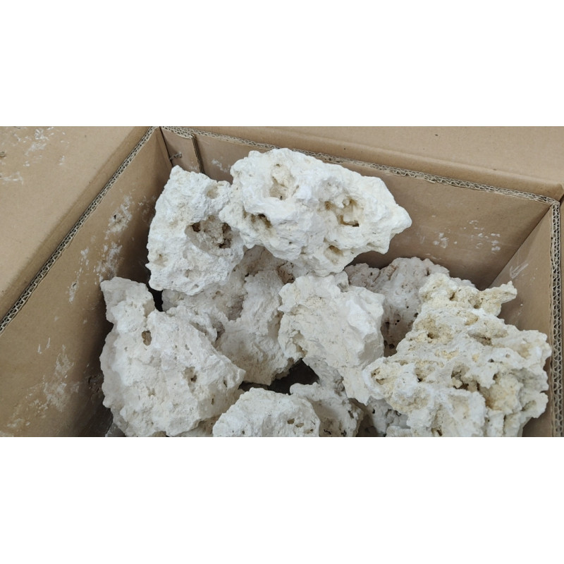 Roca para acuario marino ( Platos )