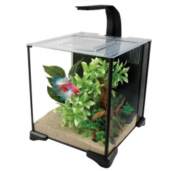 Fluval Betta Aquarium Kit 20L ( ENVIO GRATIS )