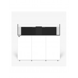 INFINIA FRAG 155.5  WATER BOX ( ENVIO GRATIS )