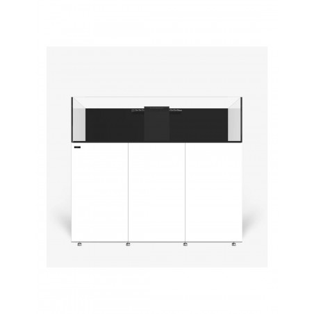 INFINIA FRAG 155.5  WATER BOX ( ENVIO GRATIS )