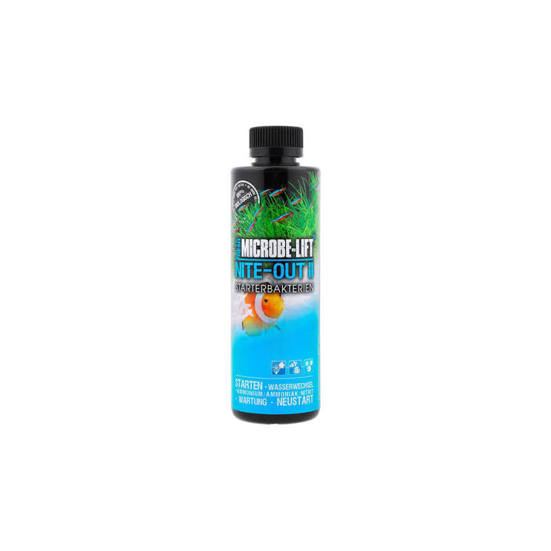 NITE OUT II 236 ml