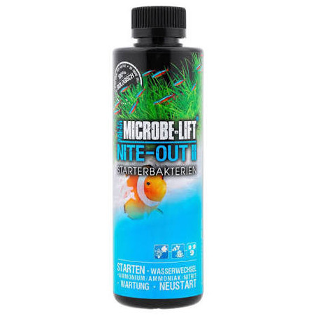 NITE OUT II 236 ml