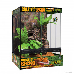 Kit de terrario para Gecko Crestado Exo Terra