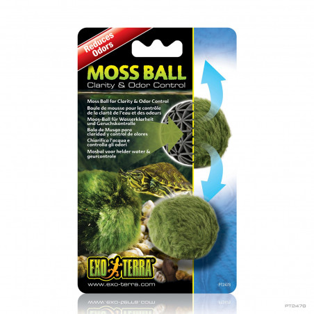 Bola de Musgo Exo Terra