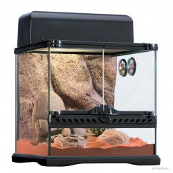 Kit de terrario desértico Exo Terra