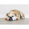 Juguetes ultra resistentes para perros BIONIC Urban Stick