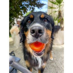 Juguetes ultra resistentes para perros BIONIC Pelota