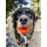 Juguetes ultra resistentes para perros BIONIC Pelota