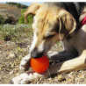 Juguetes ultra resistentes para perros BIONIC Pelota