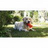 Juguetes ultra resistentes para perros BIONIC Hueso