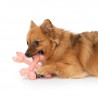 Juguetes para perros Zeus Duo