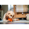 Juguete ultra resistente para perros BIONIC Treat Star