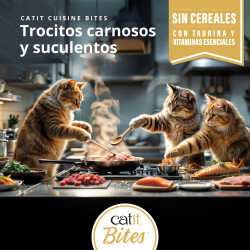 Trocitos de carne en salsa para gatos Catit Cuisine Bites