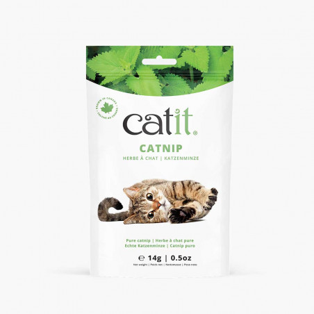 Catnip seco para gatos Catit