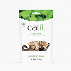 Catnip seco para gatos Catit