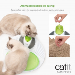 Catnip seco para gatos Catit