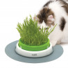Germinador de Hierba Gatera Catit Senses
