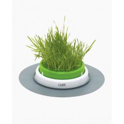 Germinador de Hierba Gatera Catit Senses