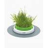 Germinador de Hierba Gatera Catit Senses