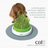 Germinador de Hierba Gatera Catit Senses