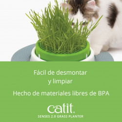 Germinador de Hierba Gatera Catit Senses
