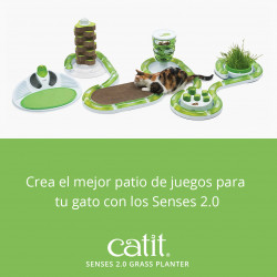 Germinador de Hierba Gatera Catit Senses