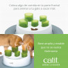 Comedero antivoracidad para gatos Catit Senses Digger