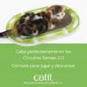 Rascador Ovalado de cartón Catit Senses