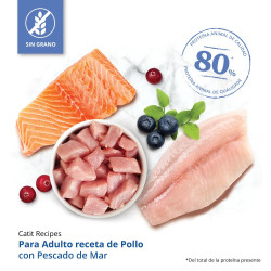 Pienso para gatos con estómago sensible Catit Recipes - Receta de Aves con Pescado de Mar para ADULTO