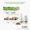Mezcla de Catnip y Matatabi secos para gatos Catit