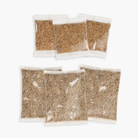 Kit de hierba Cat Grass Kit Catit