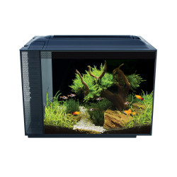 Acuario de diseño Fluval Spec de 60L