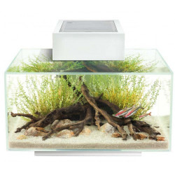 Acuario Fluval Edge de 23L