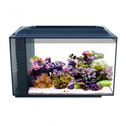 Acuario marino de diseño Fluval Evo
