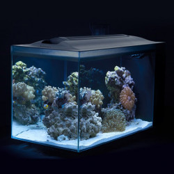 Acuario marino de diseño Fluval Evo