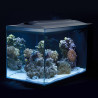 Acuario marino de diseño Fluval Evo