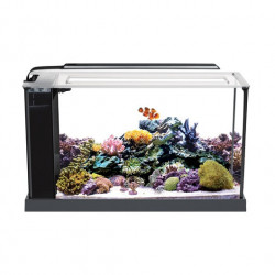 Acuario marino de diseño Fluval Evo